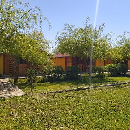 Hanul Arcasului Villa Voila Exterior foto