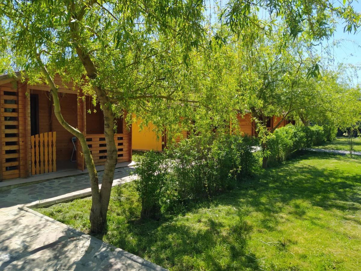 Hanul Arcasului Villa Voila Exterior foto